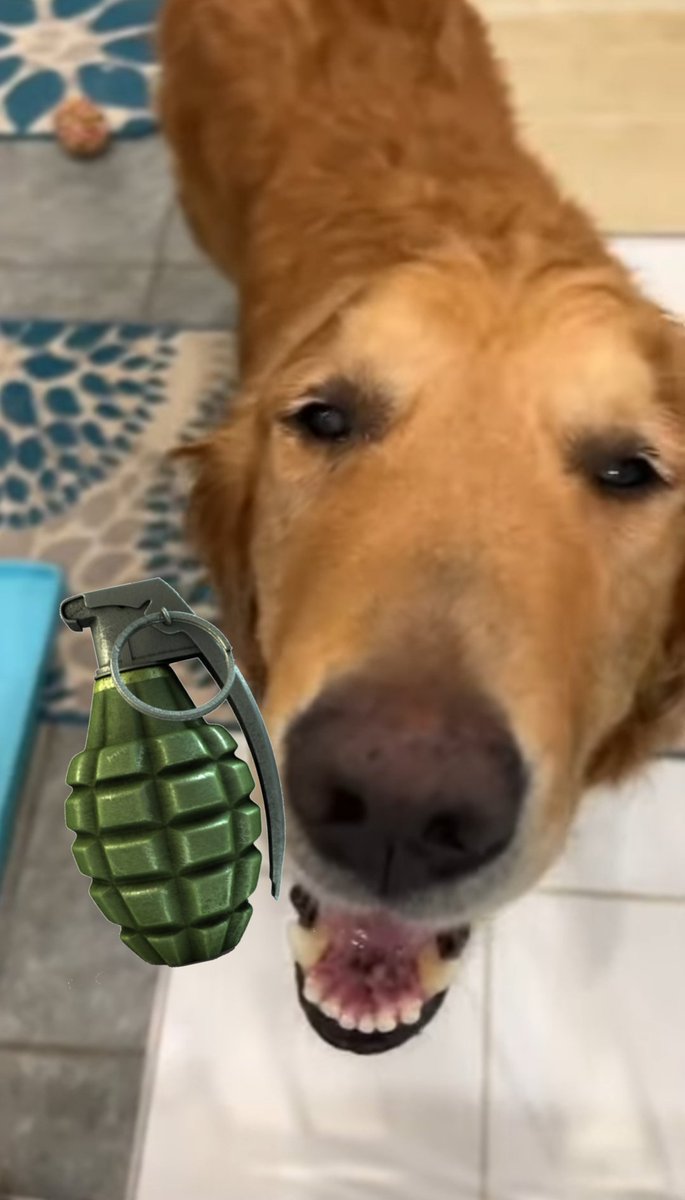 Guac With Two Legs tweet media