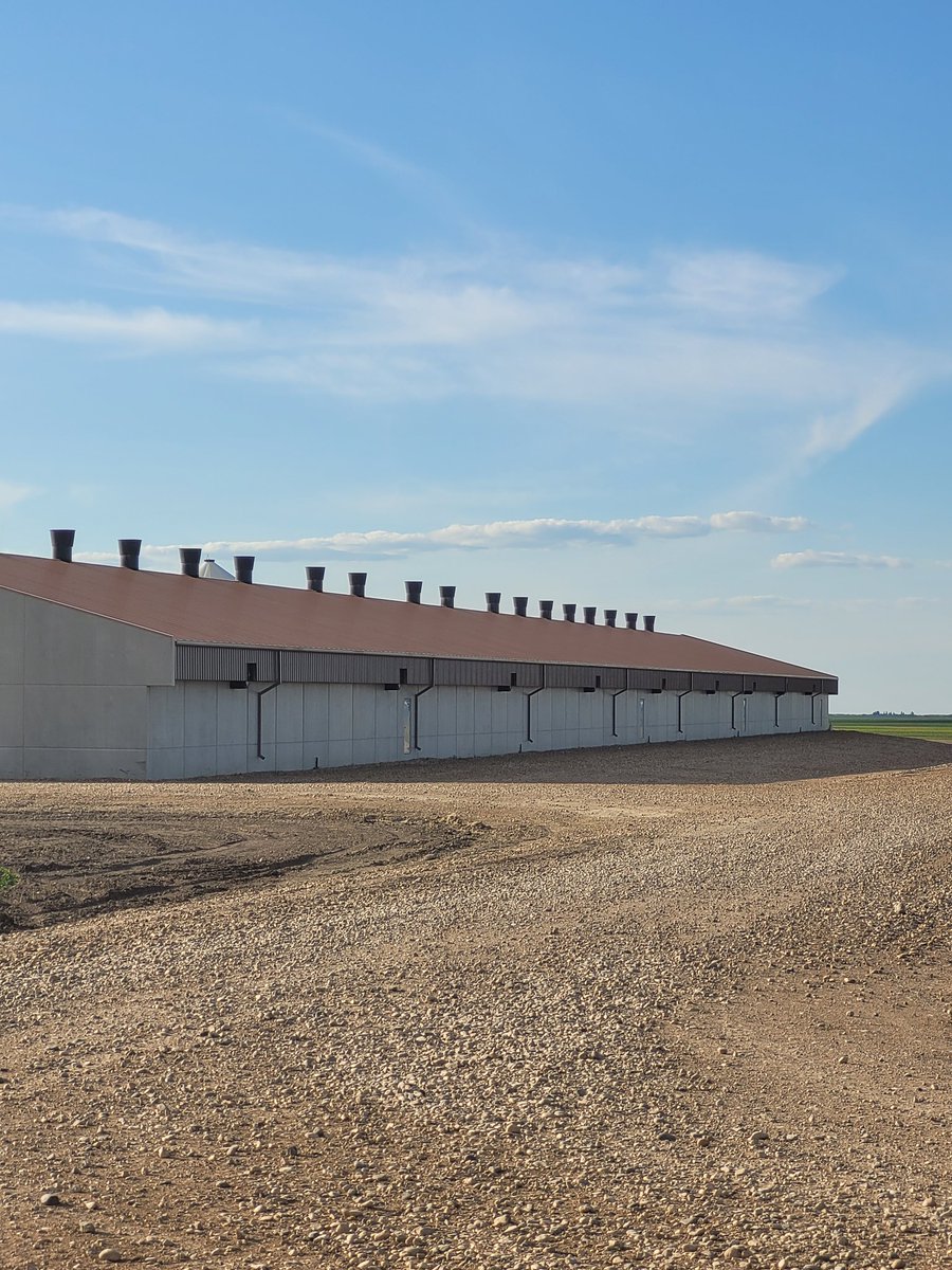 gutterguyz's tweet image. Phase #2 1350 ft of 7"continuous on layer barn
Box gutter 
890km from home 
#huttergutter
#colonylife
#minerscreekcolony