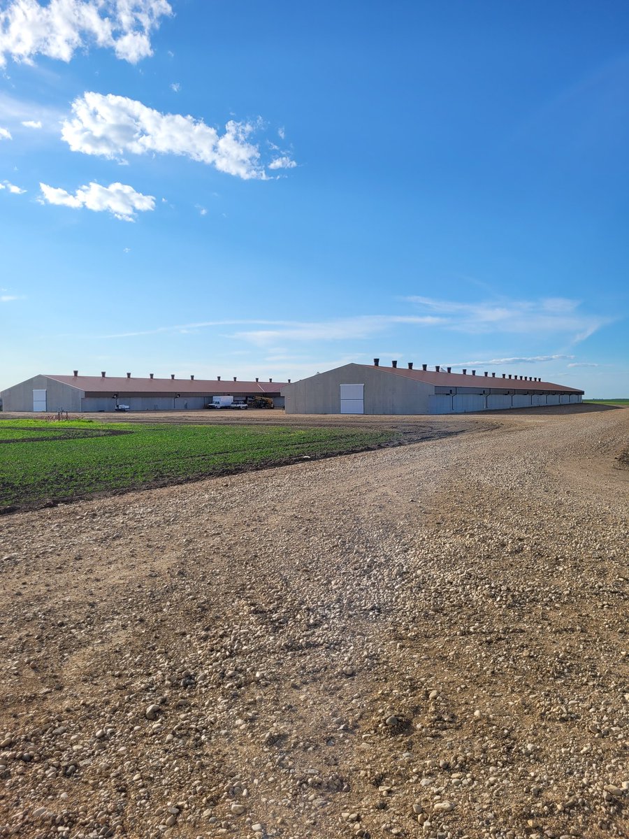 gutterguyz's tweet image. Phase #2 1350 ft of 7"continuous on layer barn
Box gutter 
890km from home 
#huttergutter
#colonylife
#minerscreekcolony