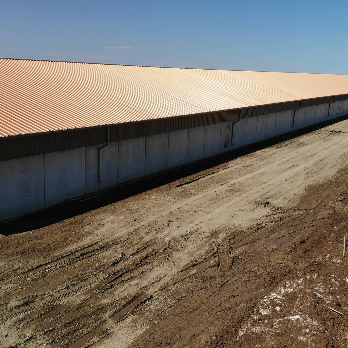 gutterguyz's tweet image. Phase #2 1350 ft of 7"continuous on layer barn
Box gutter 
890km from home 
#huttergutter
#colonylife
#minerscreekcolony