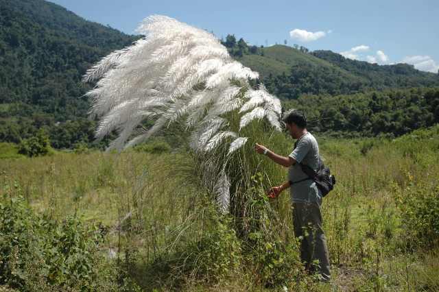 Mick Crawley tweet media