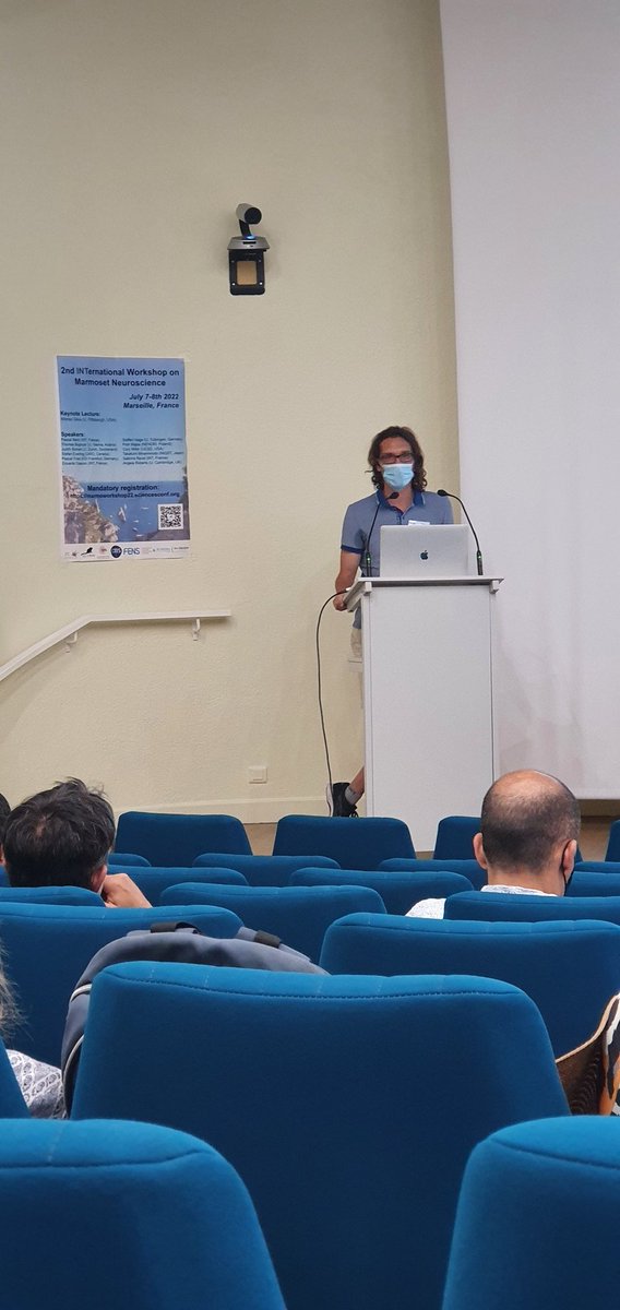 INT Marmobrain tweet media