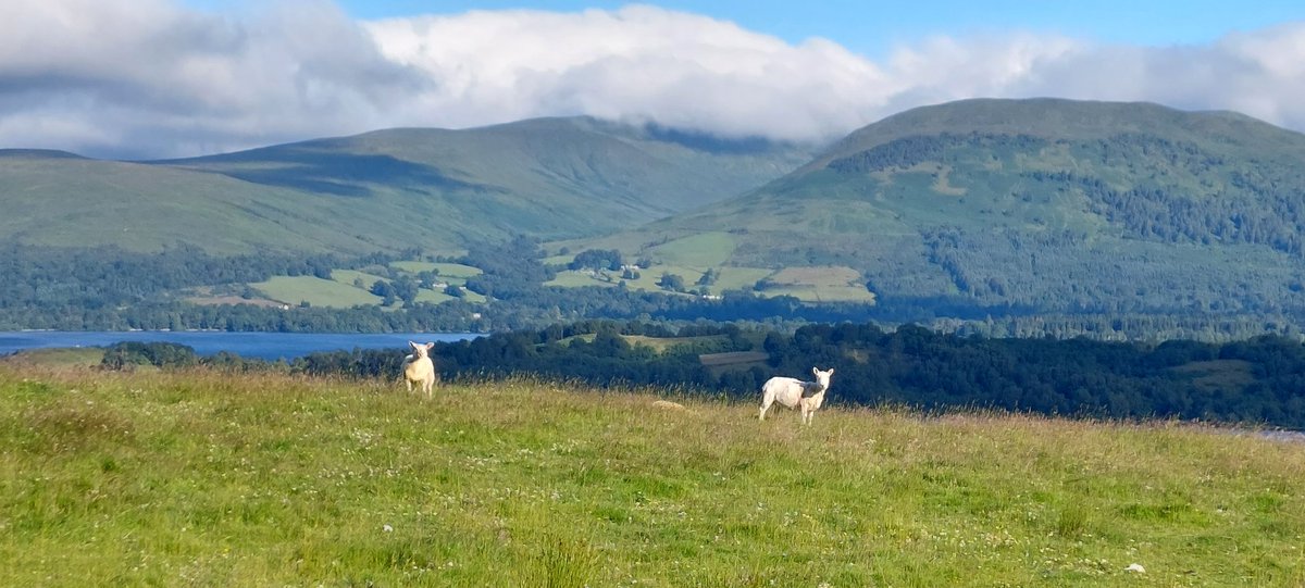 PetsSit's tweet photo. Thursday morning views ๐คฉ๐คฉ๐คฉ #Scotland ๐ด๓ ง๓ ข๓ ณ๓ ฃ๓ ด๓ ฟ๐ courtesy of @Housesitting #teamtrusted https://t.co/vm5bsiHbfi