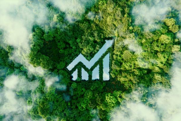 DWFTrends's tweet photo. The conversation around #sustainability #leadership has shifted in recent years from one focused purely on environmental goals to a much broader discussion about how #businesses can create value for all #stakeholders https://t.co/qWvgPEMsFT

#digitalworkforcetrends #dwftrends https://t.co/cDDPUrtavB