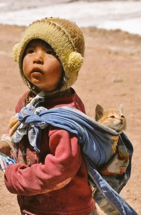 Krystyn31197823's tweet photo. 🌹❣️🌹Little girl 🌹❣️🌹 https://t.co/jrZMUFb7SQ