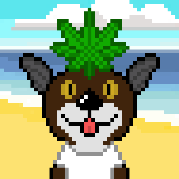 pixelotters's tweet image. ☀️GM ☀️

The Pixel Otters 739

Floor price : 0.008 Ξ
Available on : @opensea
Blockchain : #ethereum

Get it early by clicking the link in bio 🌐

#NFTs #nftart #NFTCollection  #NFT #NFTdrop #NFTCommmunity #NFTMinting