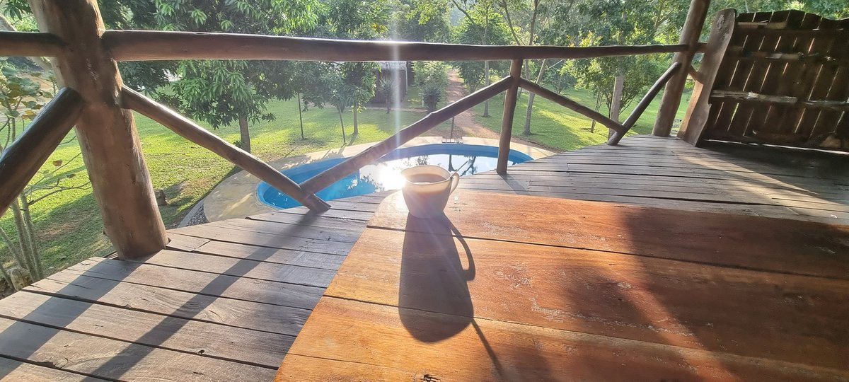 Bullbushcamp's tweet photo. How is your morning?
#peterhogel #bullbushrivercamp #safari #photography #Uganda #photographysafari #ishasha #VisitUganda #ugandauncovered #wildlifeaccommodation #river #riverlife #poolsideoflife #coffee https://t.co/Nq4Dey1aYi