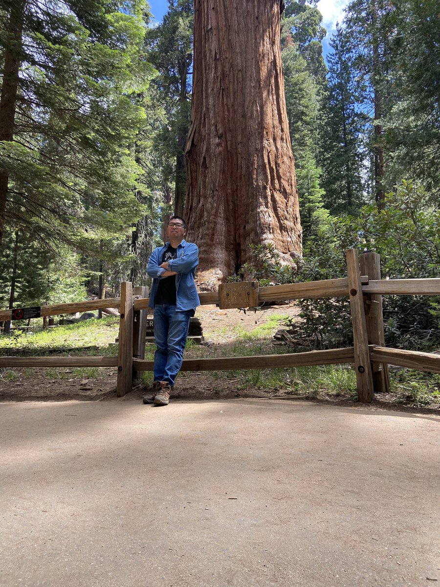 xing_lin_'s tweet photo. giant trees 
#sequioaNP https://t.co/WJH0uCIGxA