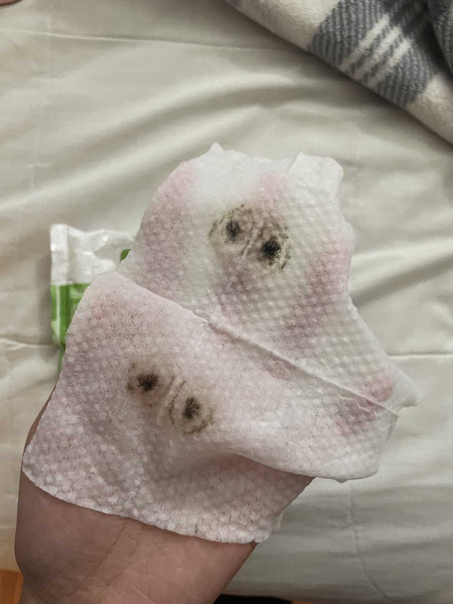 d 🌙✨ tweet media