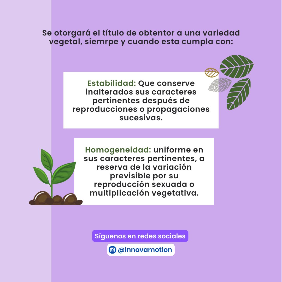 Se otorgará el #títulodeobtentor a una #variedadvegetal, siempre y cuando ésta cumpla con:
⭐ Novedad 
⭐ Distinción.
⭐ Estabilidad.
⭐ Homogeneidad.

🌐innovamotion-agency.com

#innovamotion #theAgency #UPOV #obtentor #creador #innovación #innovador #OMPI #IMPI #SNICS