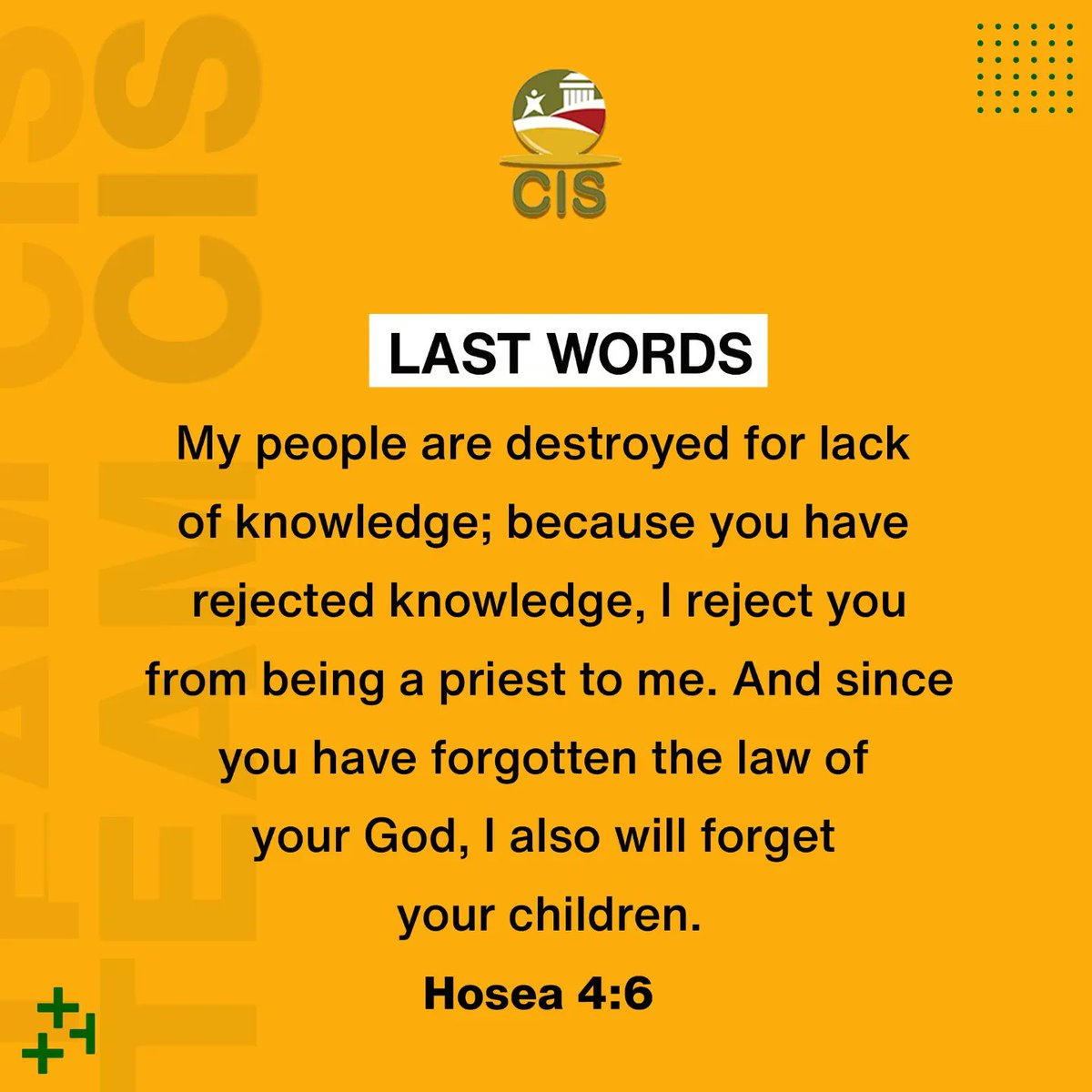 cis_lagos03's tweet photo. TEAM CIS: MEET THE PLAYER
Mr Azuka Ikebogu is a highly resourceful and key team player in CIS.
Please swipe through to know more about the important role he plays at CIS
#CIS #teamCIS #teamplayer
#meettheplayer #staffrecognition #CISPlayer #sism #datamanagement
#nuture https://t.co/juowuZTtgO