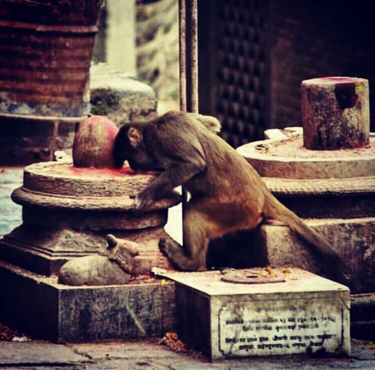 MahakaviDinkar's tweet photo. पूर्णता पर आ चुका जब नाश हो,
जान लो, आराध्य के तुम पास हो। https://t.co/97f5r1IE5p
