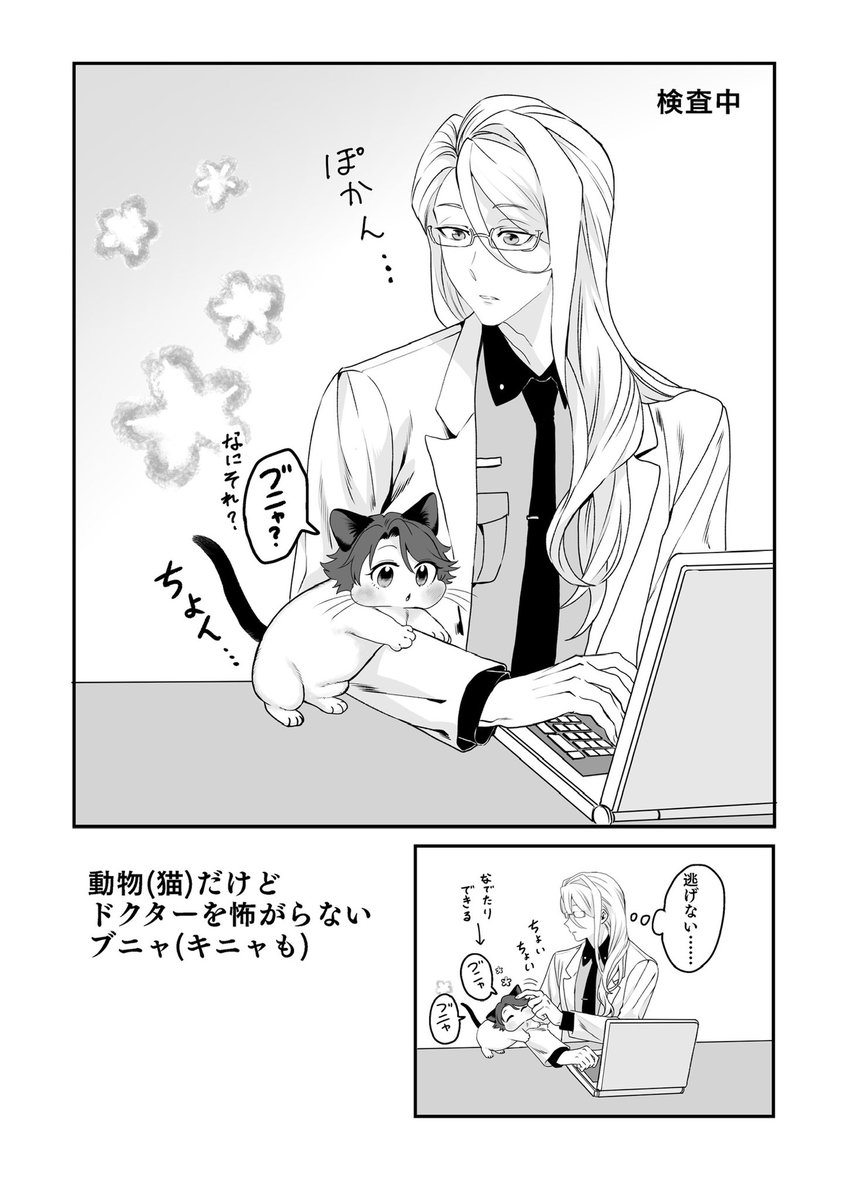猫のキニャブニャ
人懐っこいブニャ達とか
ケモ化幻覚 