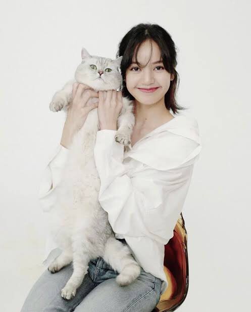 sriphirome's tweet photo. L I vote for #MTVLAKPOPLISA
#MTVLAFANDOMLISA
#MTVLAHITMONEY at this year's #PremiosMTVMIAW    
#LISA #LALISA #MONEY https://t.co/eGv1f9MPno