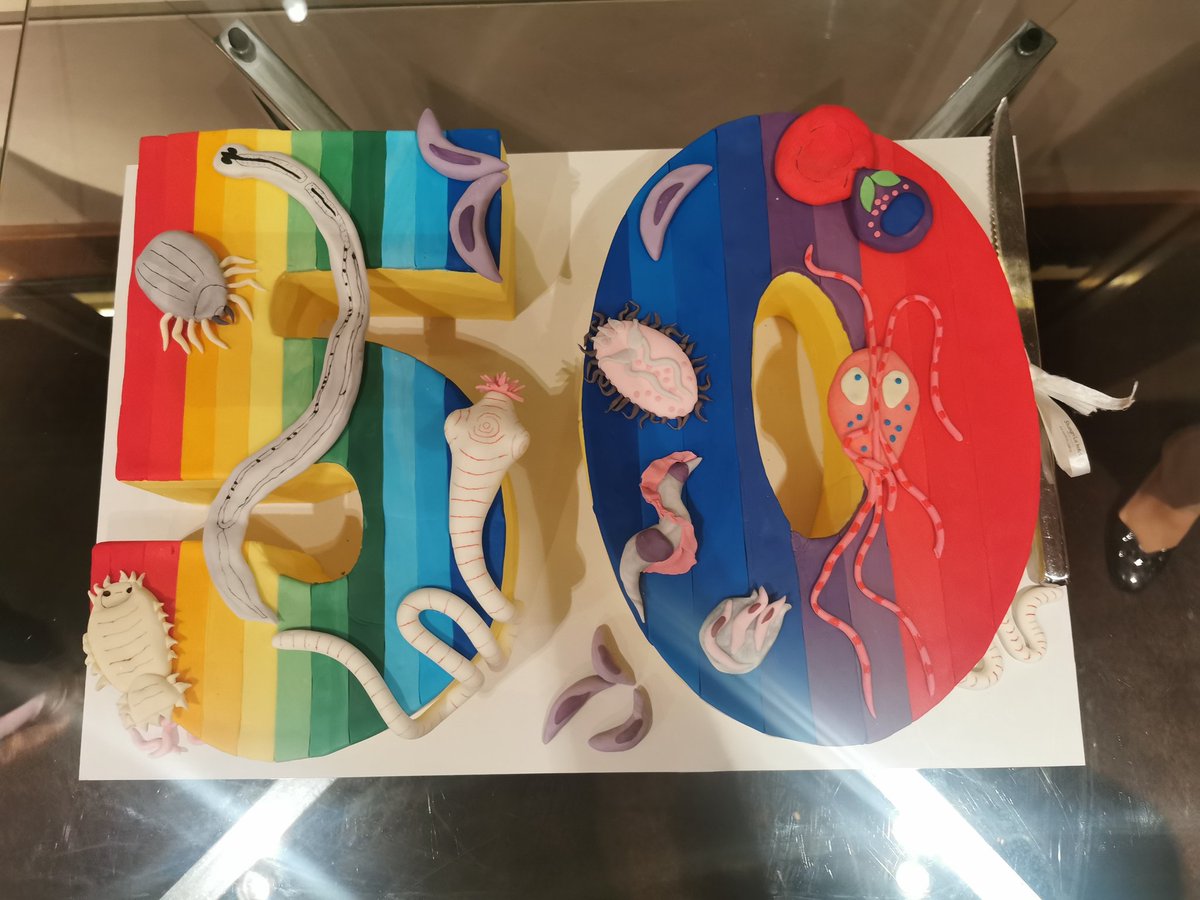 NarelleDybing's tweet photo. Happy 50th birthday @IJPara. Love the cake. My parasite was delicious. Can anyone guess what it is?
This parasite unfortunately won't help me lose weight
#2022asp @AS_Para https://t.co/3EVQNEYNgF