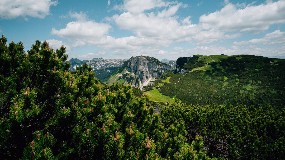 50CentimosPhoto's tweet photo. Some shots from my last hike in the Austrians alps. #fujifilm #Austria #alps https://t.co/TuzBxKPMKw