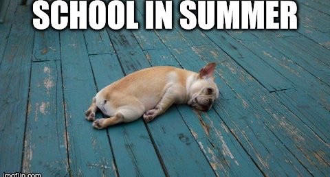 <a href="/ECSTEM67/">Edmonds College STEM</a> 
Hope everyone’s summer semester is going well.