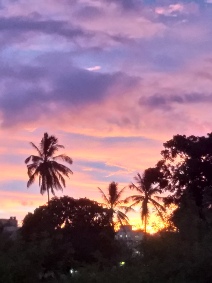 MadhuriRajwade's tweet image. @omkarthatte आपली #theme_pic_india_cloud होऊन गेली आहे .पण हा फोटो मला सापडला जो खुप आवडला म्हणुन post करत आहे.😬
#theme_pic_india_ठग.