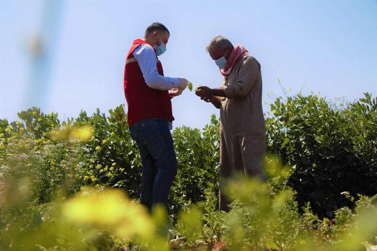 ECHO_MiddleEast's tweet photo. #10TO10 | Reason 7️⃣ the #UNSC resolution for cross-border relief to NW Syria should be renewed on 10 July.
Livelihoods 🌿 | People want to earn an income rather than remain aid dependent. We are building their capacity.
We need to maintain this #LifelineToSyrians❗ https://t.co/TaGuyrNDU3