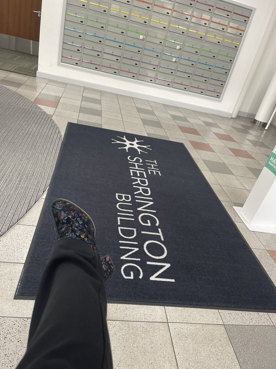 PSciGeek's tweet photo. Popping up for a #ShoeMonth day6 entry at @OxfordSciencePK #ShoeEmbassy https://t.co/8VQrda8L5v