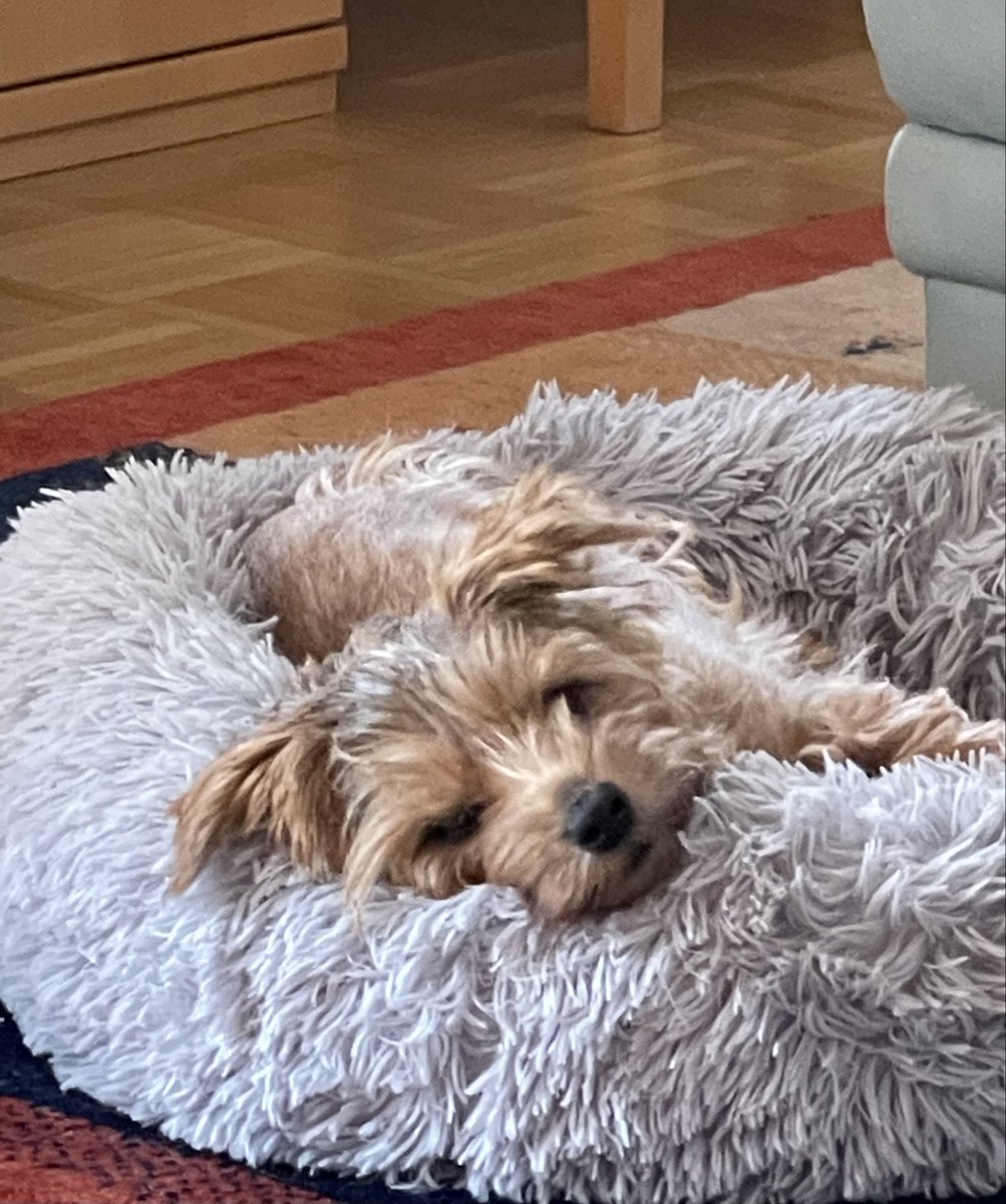 Mir entgeht nichts, keine Sorge! Ich seh genau, ob’s schon Frühstück gibt…