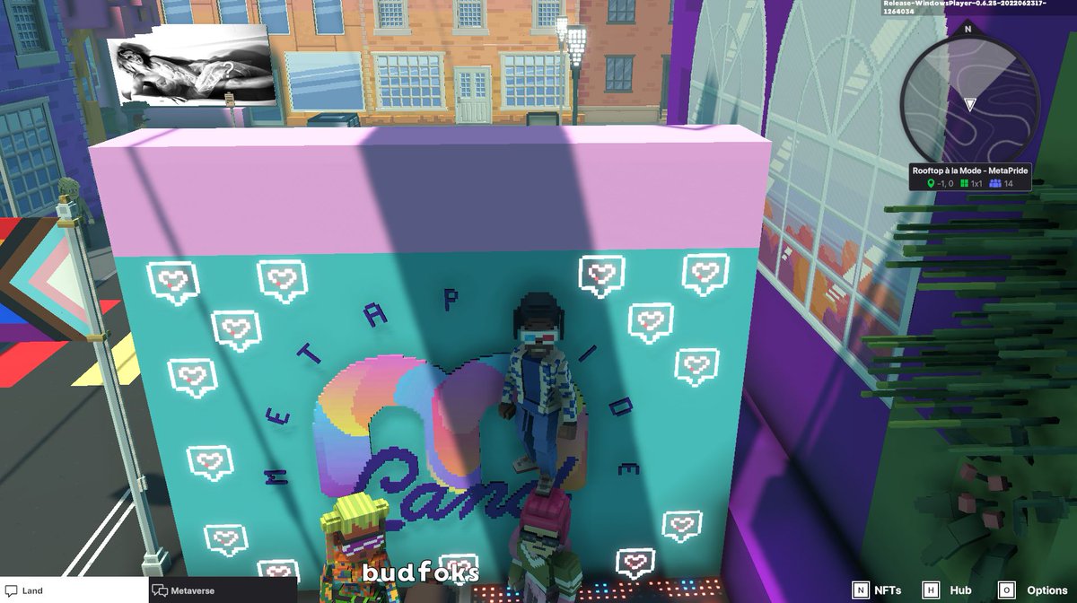 Nest_Voxel tweet media