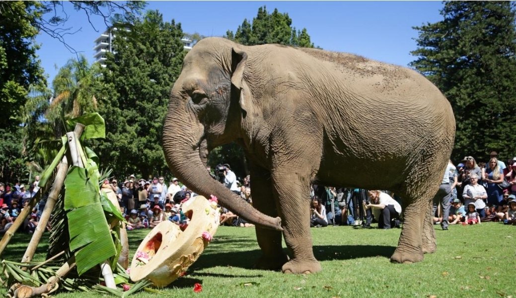 Shane Van Styn tweet media