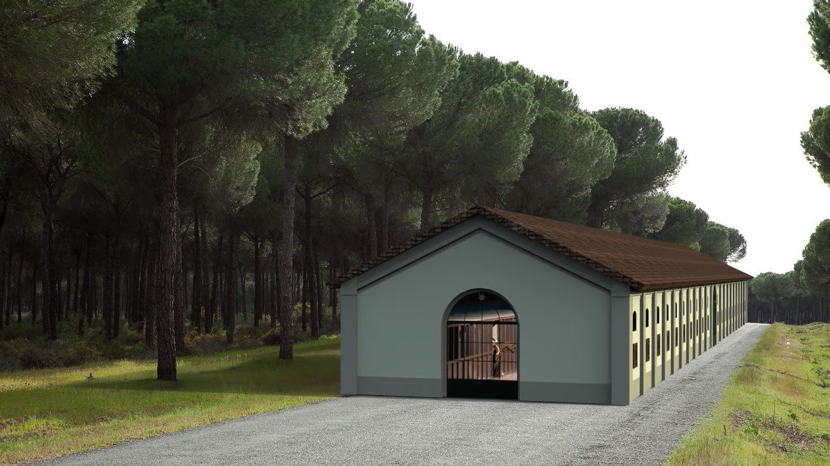 KIRAA_eth's tweet photo. #FOCUS of an architectural project entirely centered on the life and well-being of horses! https://t.co/dYYfxRiuvP
