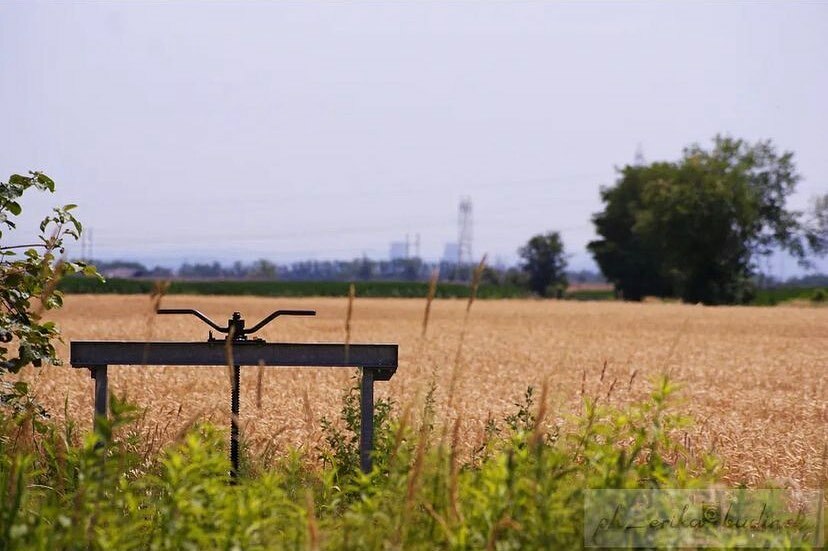 📍Borgo D’Ale
I paesaggi prima della mietitura del grano 
📸 <a href="/ph_erika/">PH Érika</a>.budinsky 
🔍 selezionato da <a href="/sararocutto/">Sara Rocutto</a>
#⃣ usa #igersvercelli e tagga <a href="/igers_vercelli/">Instagramers Vercelli</a> nelle tue più belle foto piemontesi per essere repostato👍🏼
.
.
.
#weareigersit #instagramersitalia #italia #italytrip #i…
