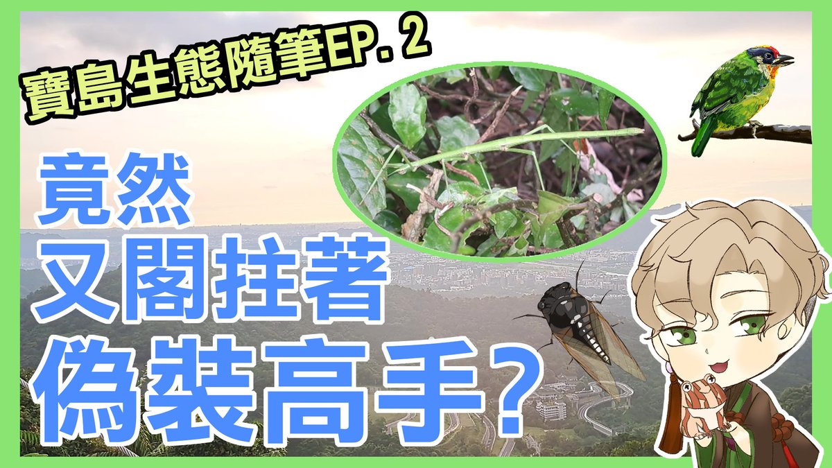 【上片通知｜天上山VLOG 煞拄著老朋友?】
暗時七點首播佇遮：youtu.be/jo8nvunL8vA
森川閣來到土城天上山矣
會發現啥物怪奇生物咧?
愛準時來看喔！
7：00 配森川影片食暗頓啦！
#生態 #登山 #台語 #VLOG