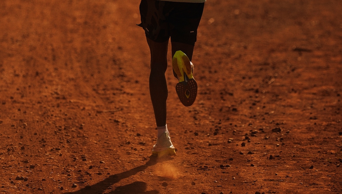PRE-ORDER! Nike Air Zoom Alphafly NEXT% 2 🔥⁠ all4running.nl/blog/nike-fast…
⁠
#nike #nikerunning #nikealpafly #all4running