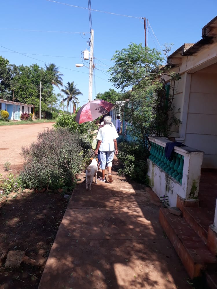MarlenCabreraC2's tweet photo. Para contribuir al control y prevención de Albovirosis en el Consejo Popular de René Fraga del municipio de Colón se lleva a cabo  la pesquisa activa por parte del sector de Salud.
#ColonEnVictoria 
#ColonPorLaSalud 
@WongCorrales https://t.co/F1qtswUZr7