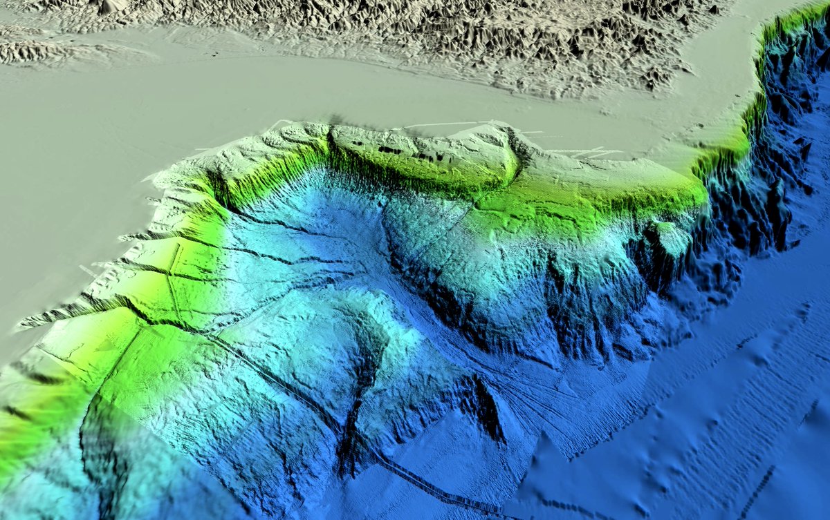 A collection of spectacular geomorphological features from the Gippsland Basin and Bass Canyon, including seafloor striations, landslides, channels, gullies, canyons, and sediment waves #geomorphology #geology 
Data from Geoscience Australia: portal.ga.gov.au/persona/marine