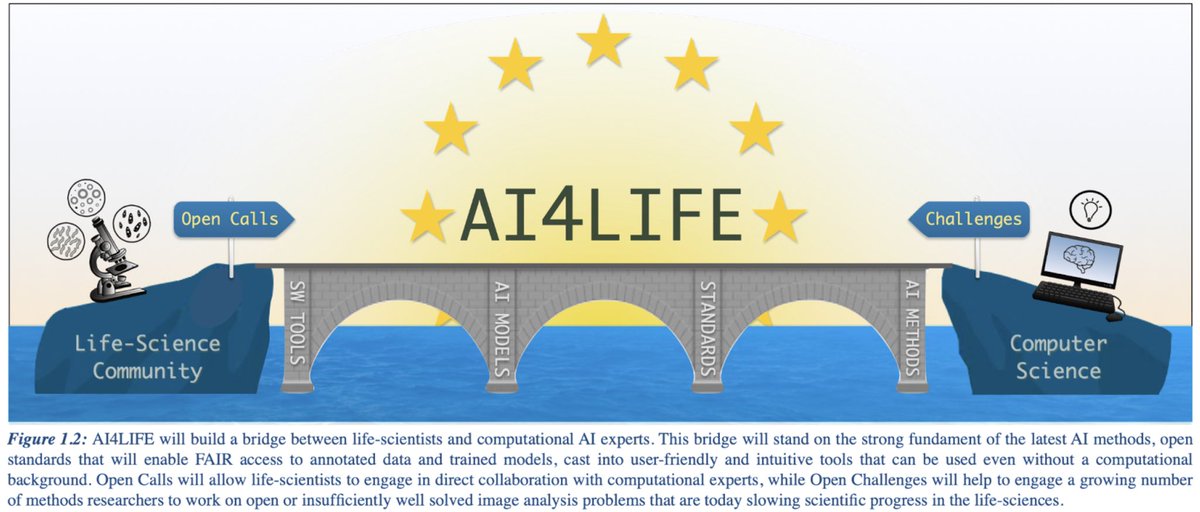 We are looking for two talented „Bioimage Analysis and AI Research Software Scientists“ to join us @humantechnopole. Positions are funded via #AI4LIFE (HorizonEurope), and will help the life sciences to better utilize cutting-edge AI methods… 🧵 tinyurl.com/AI4LIFEjobs #AI #ML