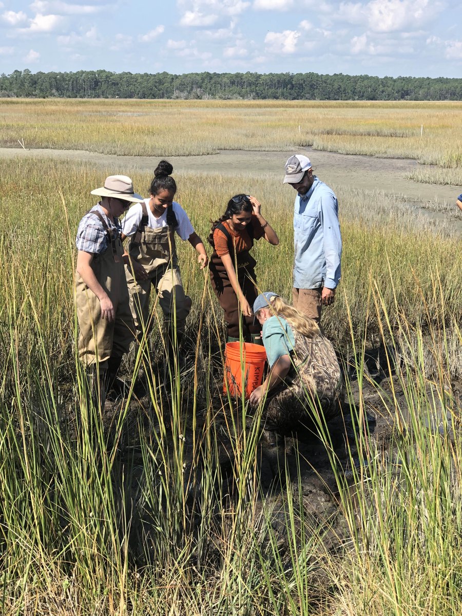 AugCSM's tweet image. #ThrowBackThursday
Dr. Reichmuth's Marine Biology class went on a field trip to the Belle Baruch Marine Field Station in Georgetown, SC in fall 2021. They seined high marsh ponds and a tidal creek. Learn more about our ecology program: biology@augusta.edu