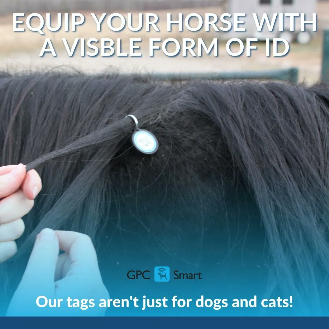gpc_smart's tweet photo. Not only are our tags great for cats and dogs, but they are also great for horses, goats, and more!

By braiding your GPC Smart tag into your horse's mane, you can ensure they would remain safe should they escape. https://t.co/w3WBsvRwHa