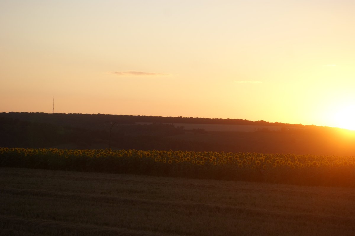 Pascal21cor's tweet photo. Les dernières heures de #DD le grain de blé maintenant direction la @ANMF_MeunerieFr
#ceuxquifontlagriculture #lavuedubureau #agriloving #FrAgTw #cotedesbars #jeudiphoto #ceuxquivousnourricent https://t.co/mei1IpZ5DY