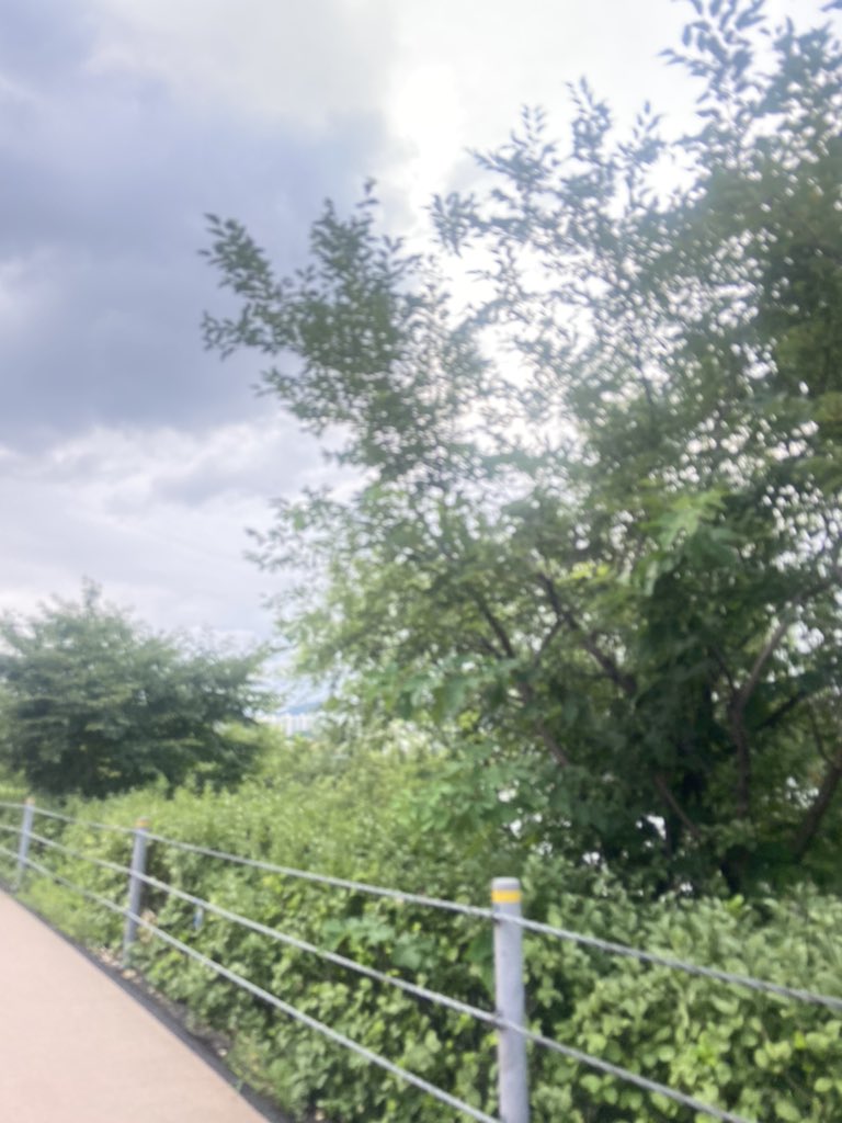 요즘 맨날 열심히 뛰고 있어요🧚🏻
jogging every single day :)) 
이번주까지 youtube 영상 올리도록 할게요!
🦋i'll upload a video till this week🦧 사랑함