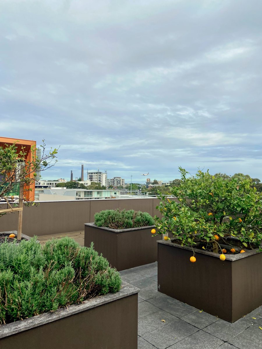 Hannah Ingram tweet media