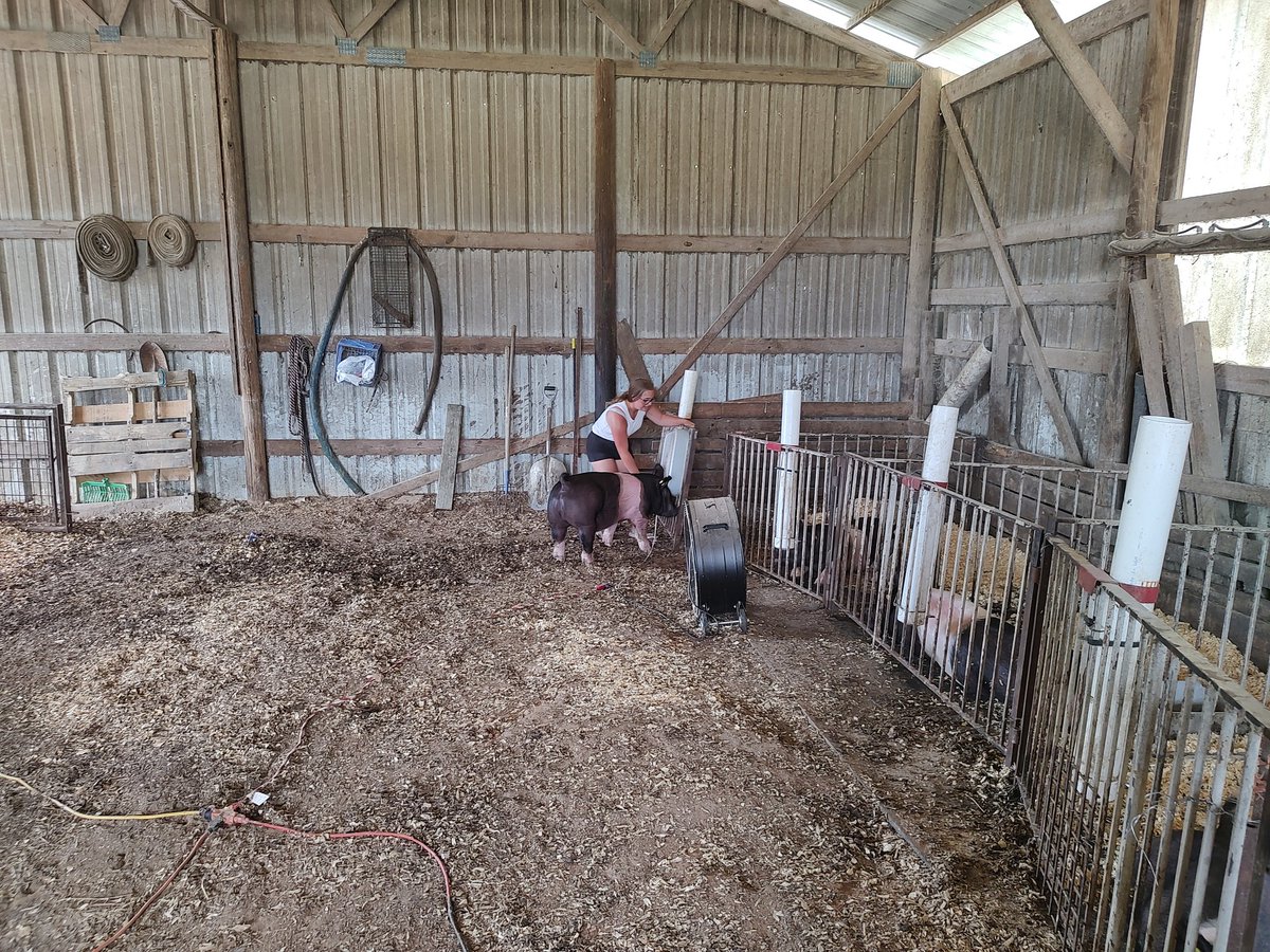 We always love seeing Maddie and Abby's SAE project in swine production. They raise and show pigs all over the country. <a href="/SumnerCountyCTE/">Sumner County CTE</a> <a href="/PortlandCte/">Portland High School CTE</a> <a href="/PrincipalofPHS/">David E. Woods, Ed.D.</a>