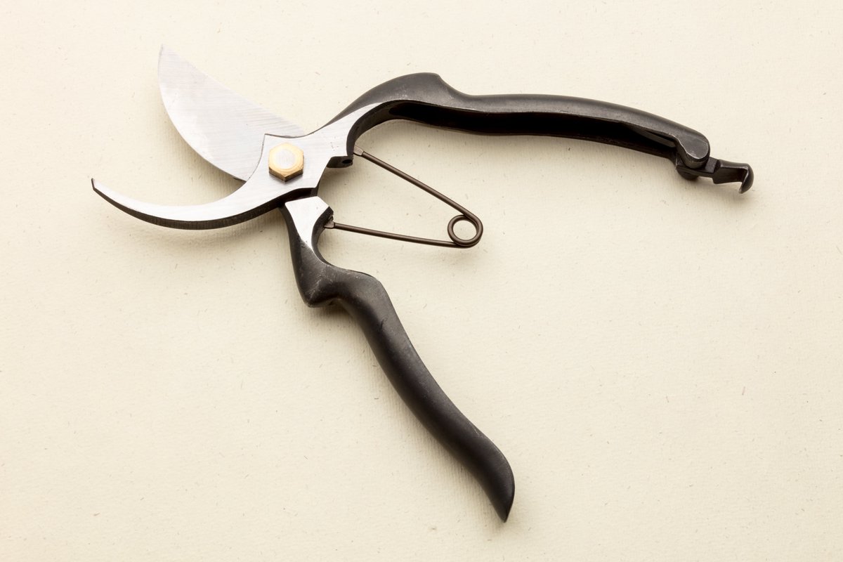 japetoltd's tweet photo. Our Japanese Deluxe Carbon Steel Secateurs are every gardeners best friend 🏵
#japeto #japetotools #japanesegardentools #japanesegardening #japetogardeningtools #japaneseinspired #gardenphoto #gardenphotography #gardening #gardeners #gardenerlife #japeto #gardeningtools #garden https://t.co/q2rwnl6mqz