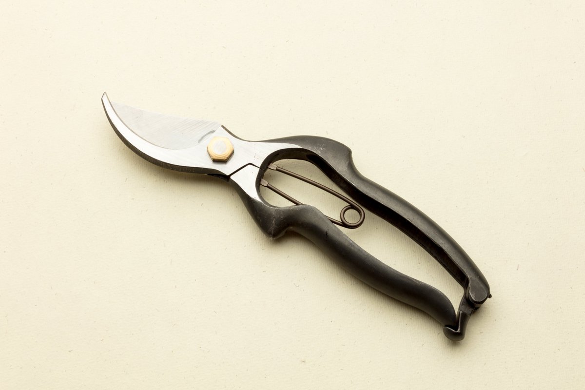 japetoltd's tweet photo. Our Japanese Deluxe Carbon Steel Secateurs are every gardeners best friend 🏵
#japeto #japetotools #japanesegardentools #japanesegardening #japetogardeningtools #japaneseinspired #gardenphoto #gardenphotography #gardening #gardeners #gardenerlife #japeto #gardeningtools #garden https://t.co/q2rwnl6mqz