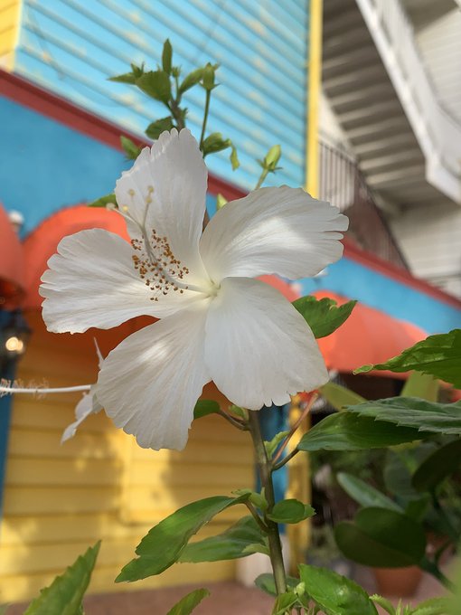 Twitterのコスプレ画像25