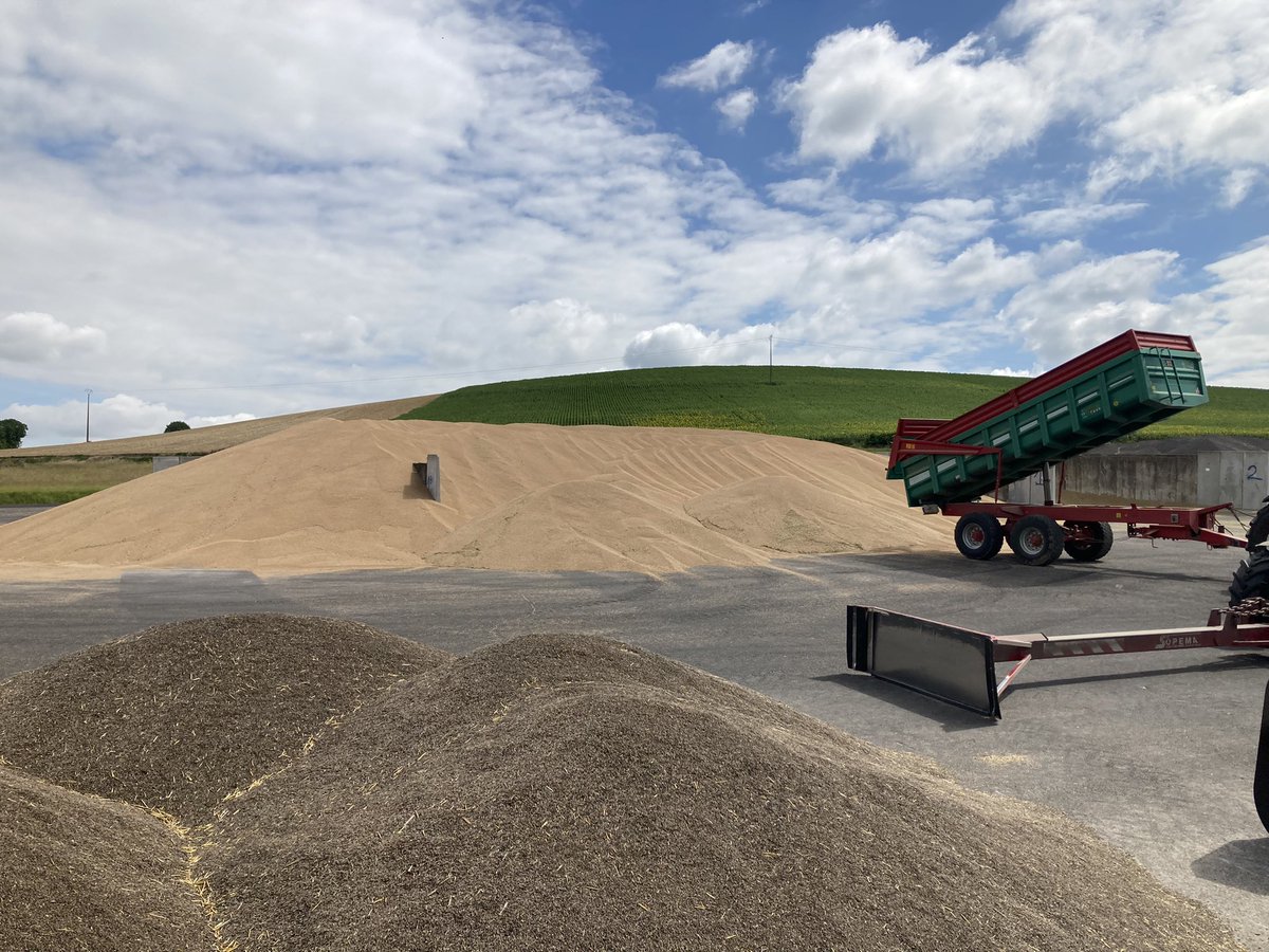 AntoineDeZutter's tweet photo. On profite de la journée pour sortir (enfin) du bureau. Rencontre des agriculteurs et des équipes #SouffletAgriculture mobilisées pour la moisson. Merci aux chefs de silo et aux saisonniers pour l’implication et l’accueil de nos clients, en toute sécurité #WeDoSafe. https://t.co/yojyBodDDO