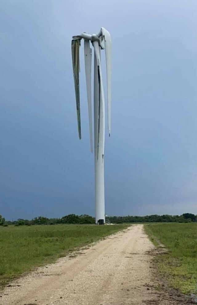 Vertrocknet? 🤔
#Klimawandel