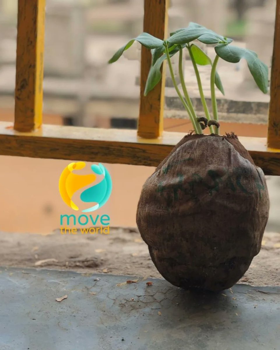 movetheworld_co's tweet photo. The MTW Book of Programme Records!
This Get Global student showed off her bean plant that she grew from month 2 of the programme #ZeroHunger.
#beanplant #learninganewskill #learnandplay #powerofyouth #education #getglobal #movetheworld #proudplantmom https://t.co/HVVfnek3Hv