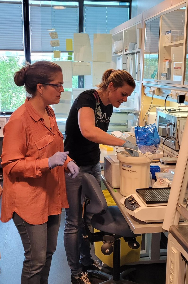 Lars Grøntved (@grontved_group) on Twitter photo 🧬🔬 Quiet times around campus these days but staff-machinery still runs - Lab-manager <a href="/MajkenSiers/">Majken Storm Siersbæk</a> and PhD student <a href="/TrineVDam/">Trine Vestergaard Dam</a> collecting samples for more amazing <a href="/ATLAS_SDU/">ATLAS</a> projects at Graversen group (Signe) 🎯🧬<a href="/bmbSDU/">Department of Biochemistry and Molecular Biology</a> <a href="/GenomicsUnit/">Functional Genomics & Metabolism Research Unit</a> #hepaticfanatics #liver 🧬🔬 Quiet times around campus these days but staff-machinery still runs - Lab-manager <a href="/MajkenSiers/">Majken Storm Siersbæk</a> and PhD student <a href="/TrineVDam/">Trine Vestergaard Dam</a> collecting samples for more amazing <a href="/ATLAS_SDU/">ATLAS</a> projects at Graversen group (Signe) 🎯🧬<a href="/bmbSDU/">Department of Biochemistry and Molecular Biology</a> <a href="/GenomicsUnit/">Functional Genomics & Metabolism Research Unit</a> #hepaticfanatics #liver