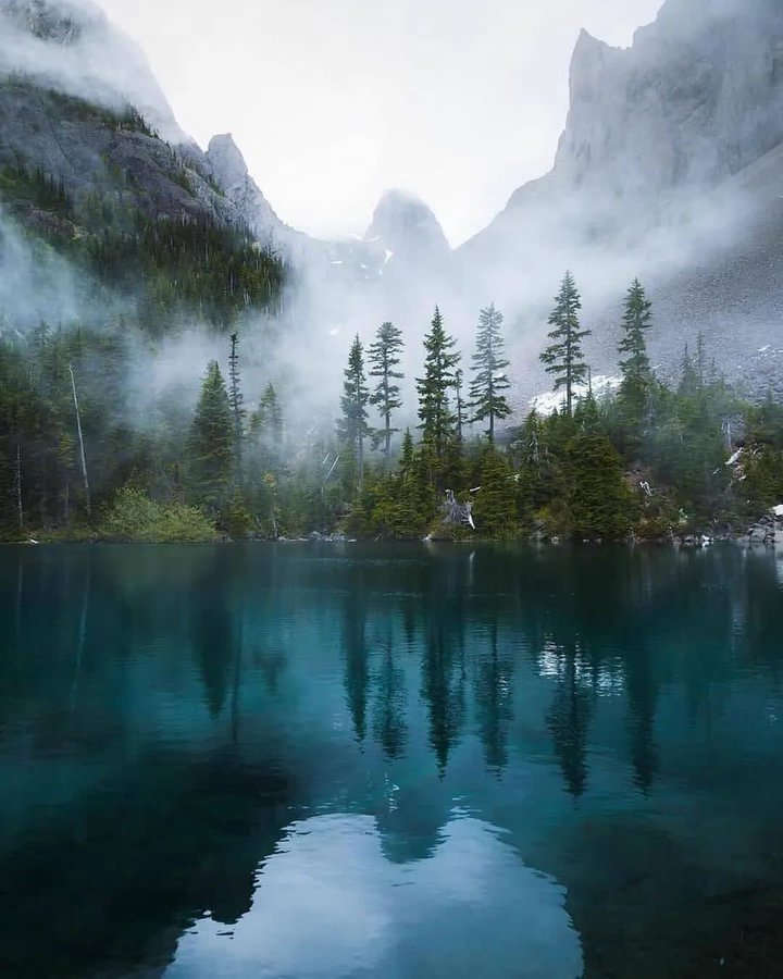 Jasper national park💚