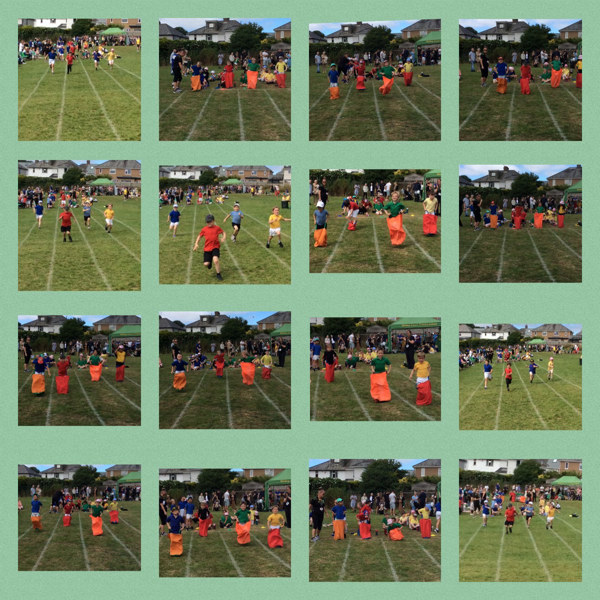 WideyWillow tweet media