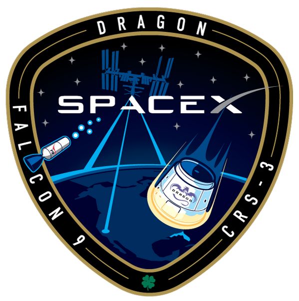 mianotesapp's tweet photo. Did you know that @SpaceX includes a four-leaf clover on each space mission embroidered patch as a good luck charm? Legend has it that French general Napoleon Bonaparte was saved from a fatal bullet when he leaned over to inspect a four-leaf clover. https://t.co/it6X61R0PU
